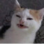 Davidutzu69