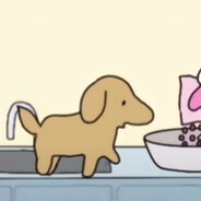 枫叶大番薯、】