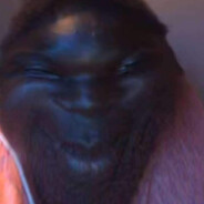 boi what the hell boi