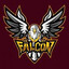 FalcoNn