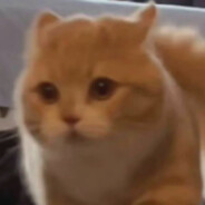 喜欢泷奈被你发现