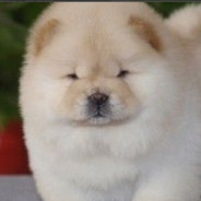 buuuuu