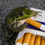 froggyッ