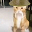 catiko
