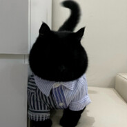 看我眼色行事好吧