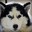 Doggo