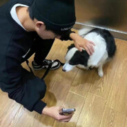 最后一次写情歌