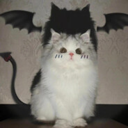 小斑马会自己睡