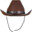 Cowboy BEEJOY