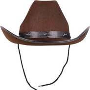 Cowboy BEEJOY
