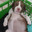 Perro_waton