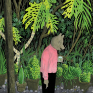 Player Avatar