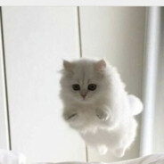 ☬Твое sunny☬