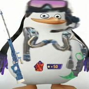 马达加斯加企鹅