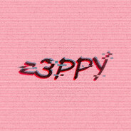 Z3PPY - steam id 76561199238548475