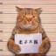 背起了行囊