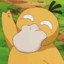 Psyduck