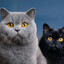 Avatar of ღÐΛЯКŊĔSS