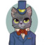 TTV The Business Cat
