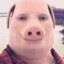 John Pork