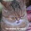 eternal spЁrm