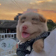 摘取桃花换酒钱