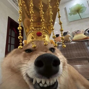 糖糖是条大咸鱼