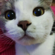 AAA高良率晶圆批发