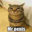 mr penis