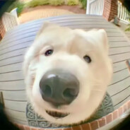 热心市民水木木