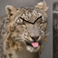 EVIL ASS LEOPARD