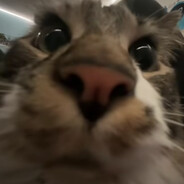 Theyka_'s avatar