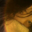 Avatar of Nyang