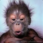 IXHitmanIX