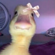GOOSE