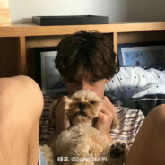 河南商丘李少爷