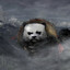 TZeeKOH