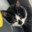 LazyOne