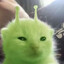toofluff