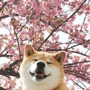Makima's Dog
