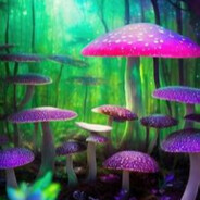 ganiec - steam id 76561198133270852