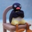 Pingu