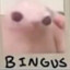 {BINGUS PEEK} BiNgUs