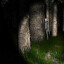 the slenderman