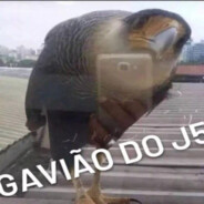 GAVIÃO DO J5