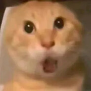 󠀡󠀡󠀡󠀡󠀡󠀡󠀡󠀡