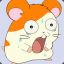 hamtaro