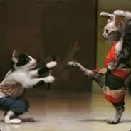 Sir Voli