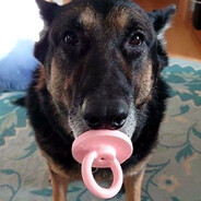 🍋CACHORRO CHUPETÃO