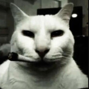 ☣︎Дениска☢